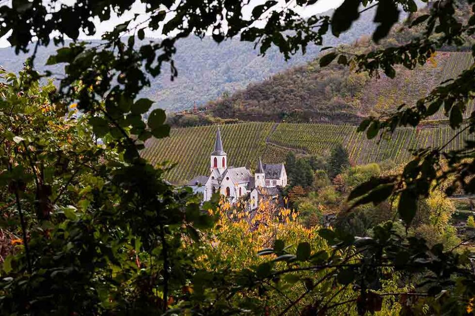 Fototour Mosel: Belle Époque & Weinberge im Spätsommer erleben! 2 Fototour Mosel: Blick auf Traben-Trabach bei der Wanderung nach Bernkastel-Kues