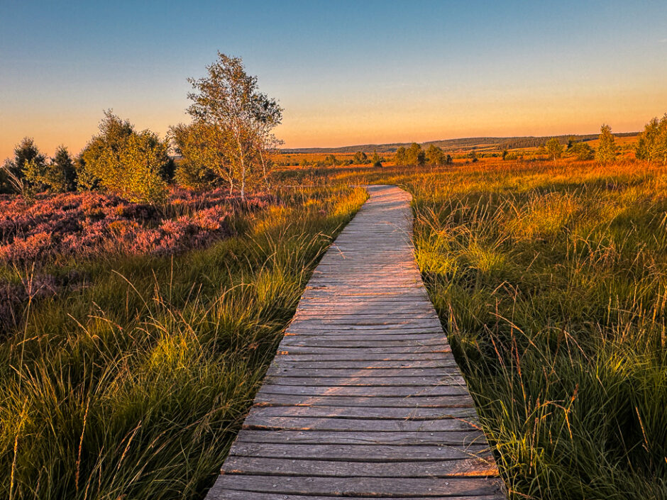 Milchstraße fotografien im Geisterwald Hohes Venn (Guide) 1 Sonnenuntergang Hohes Venn im Sommer