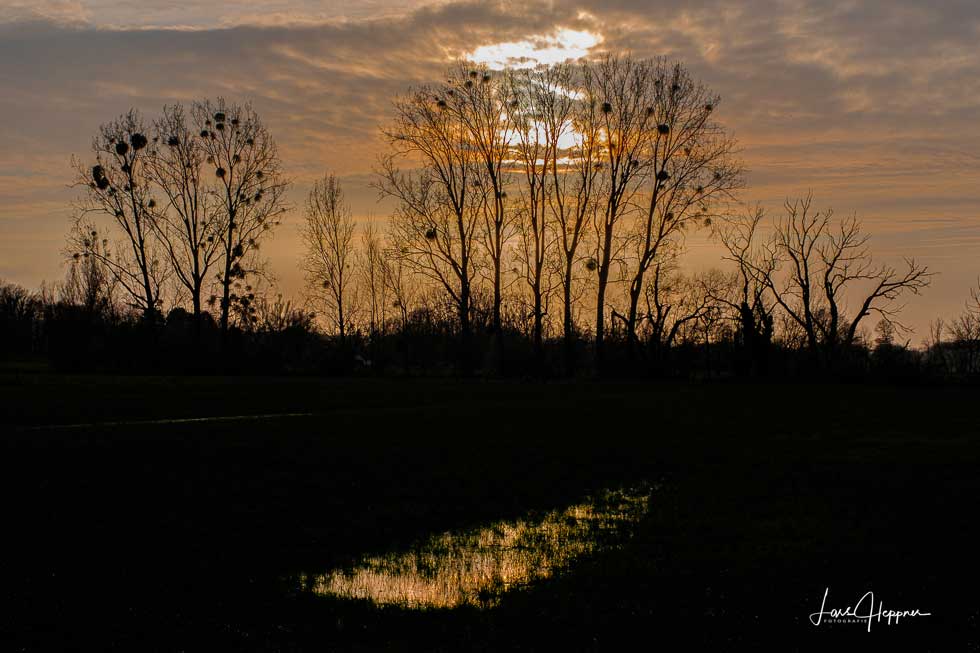 Testbild Landschaftsfotografie mit dem Fujinon 16 - 80 mm ƒ4