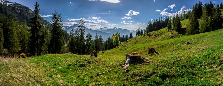 Allgäu Landschaftspanorama