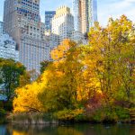 Herbst-Spiegelung im Central Park