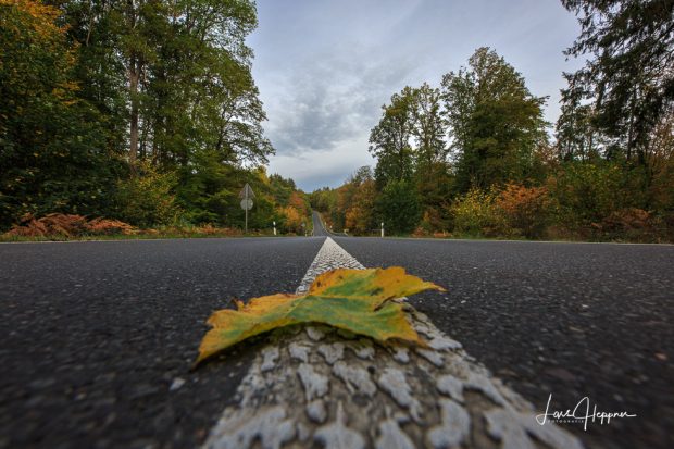 Herbstliche Straßenmotive beim Fotoworkshop Nationalpark Eifel