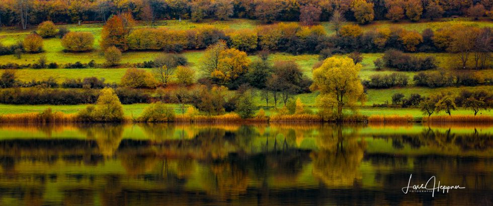 Header_Fotoworkshop_Nationalpark_Eifel Header Fotoworkshop Nationalpark Eifel