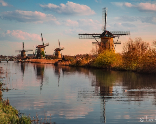 Die Jagd nach Tulpen und Windmühlen – Ein Tripp nach Holland