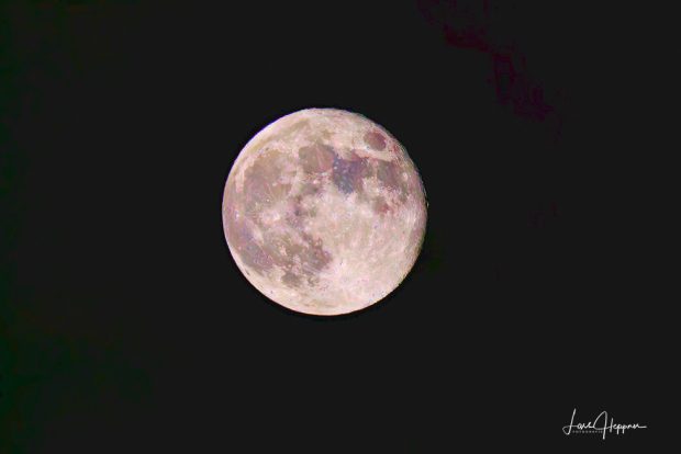 Mond bei Nacht fotografieren