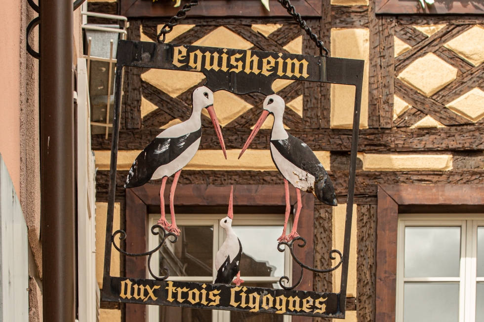 Stoerche_elsass Stoerche elsass scaled