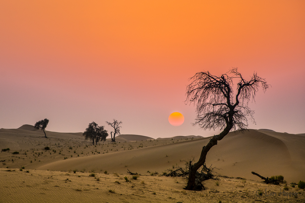 Sonnenuntergang in der Wüste